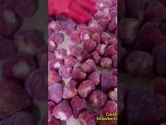 Frische Zutaten Knusprig und köstlich Gefriergetrocknete Erdbeeren